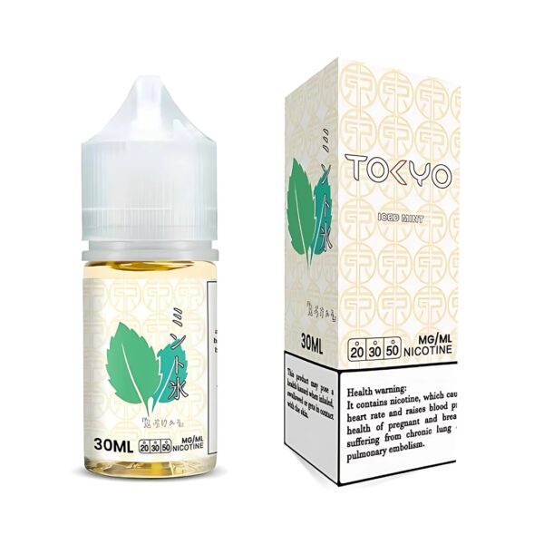 TOKYO SALTNIC ICED MINT 30ML